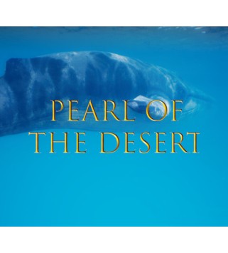 Pearl of the Desert Steam Key GLOBAL